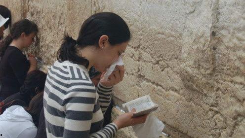 猪头吃瓜娱乐圈